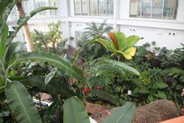 botanical gadens