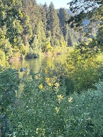 View from the deck