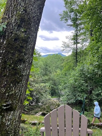 View