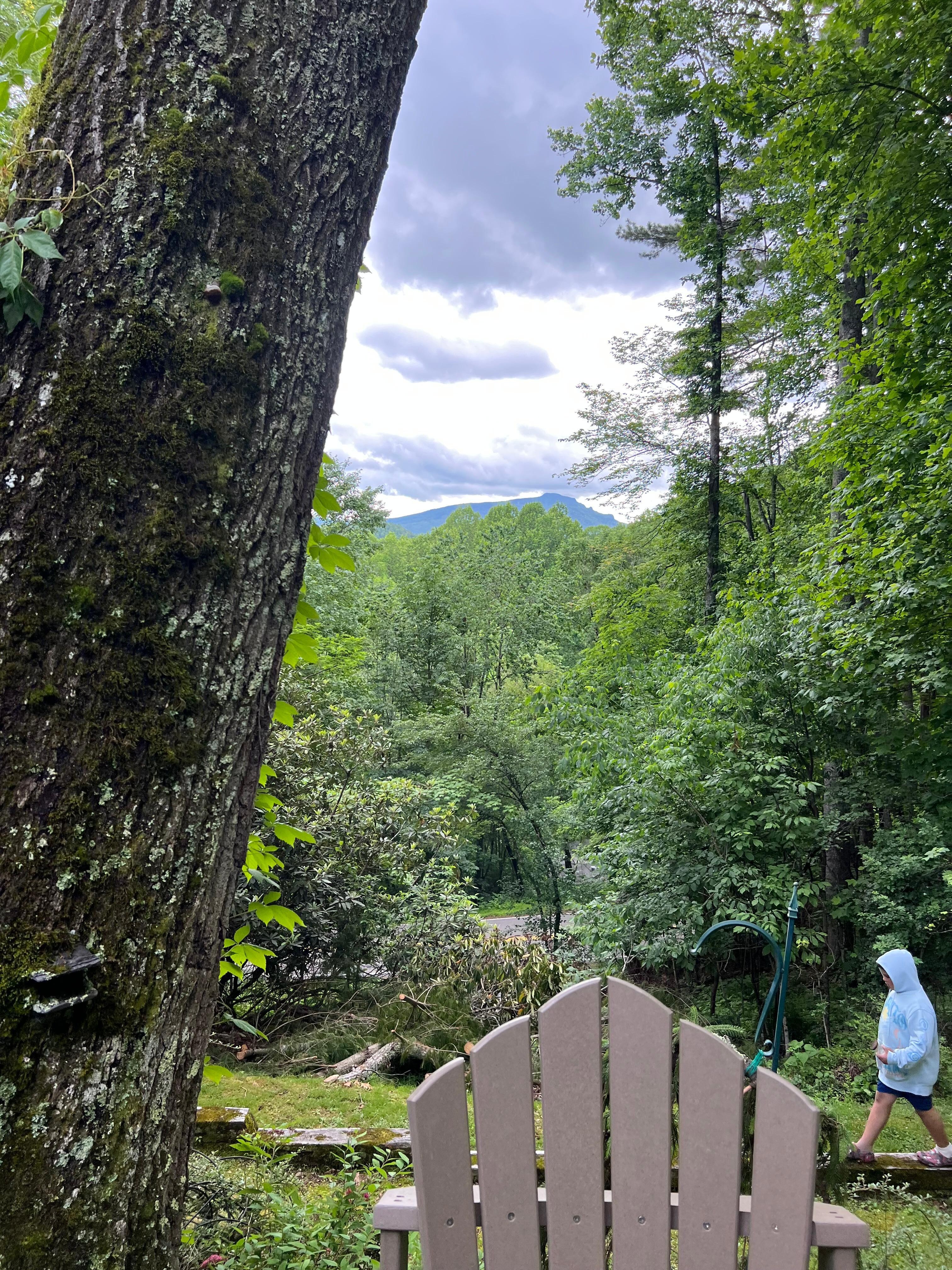 View