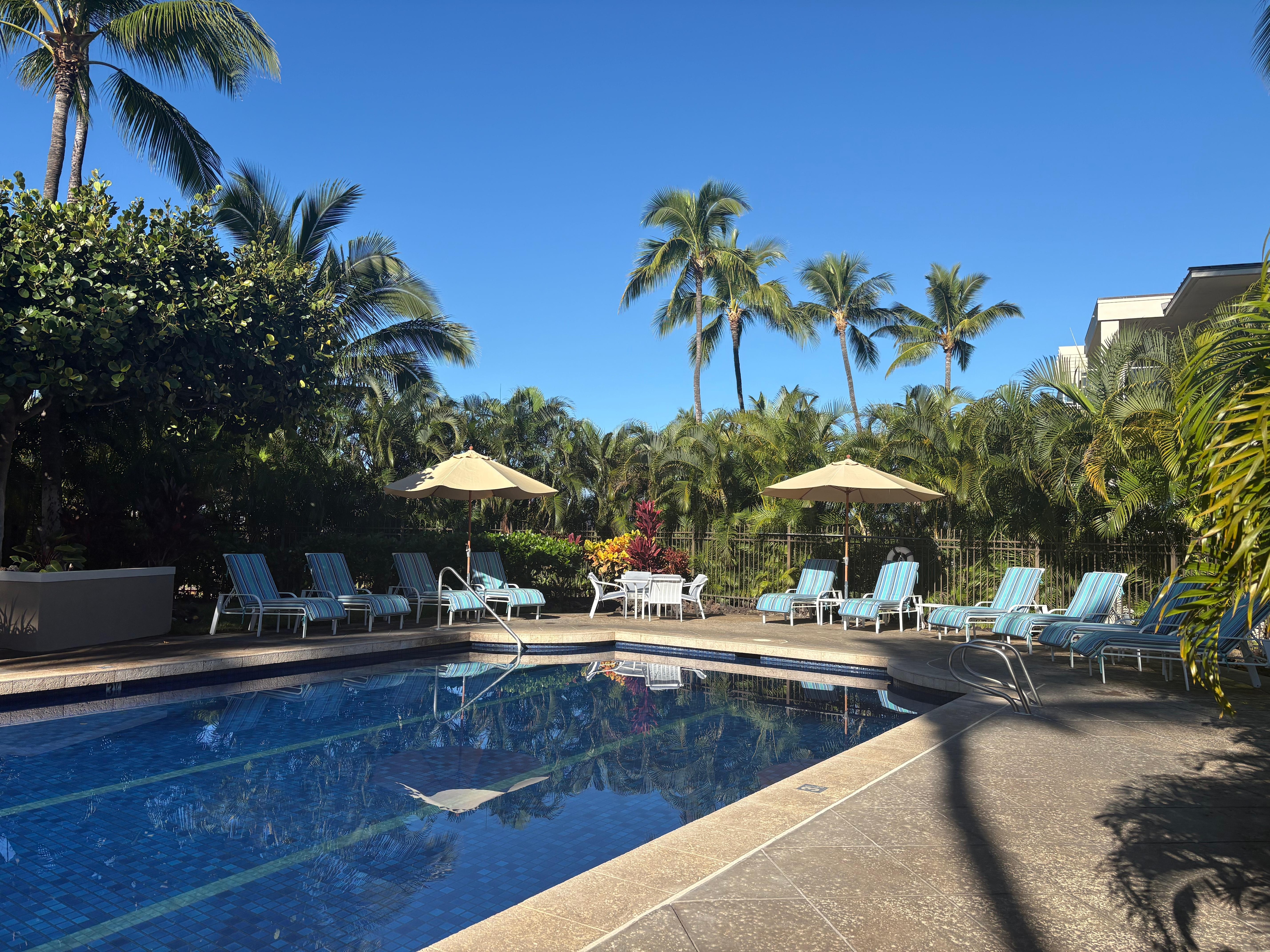 The condo pool.