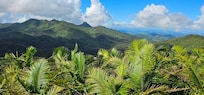 El Yunque National Forest - 25 minutes away.
