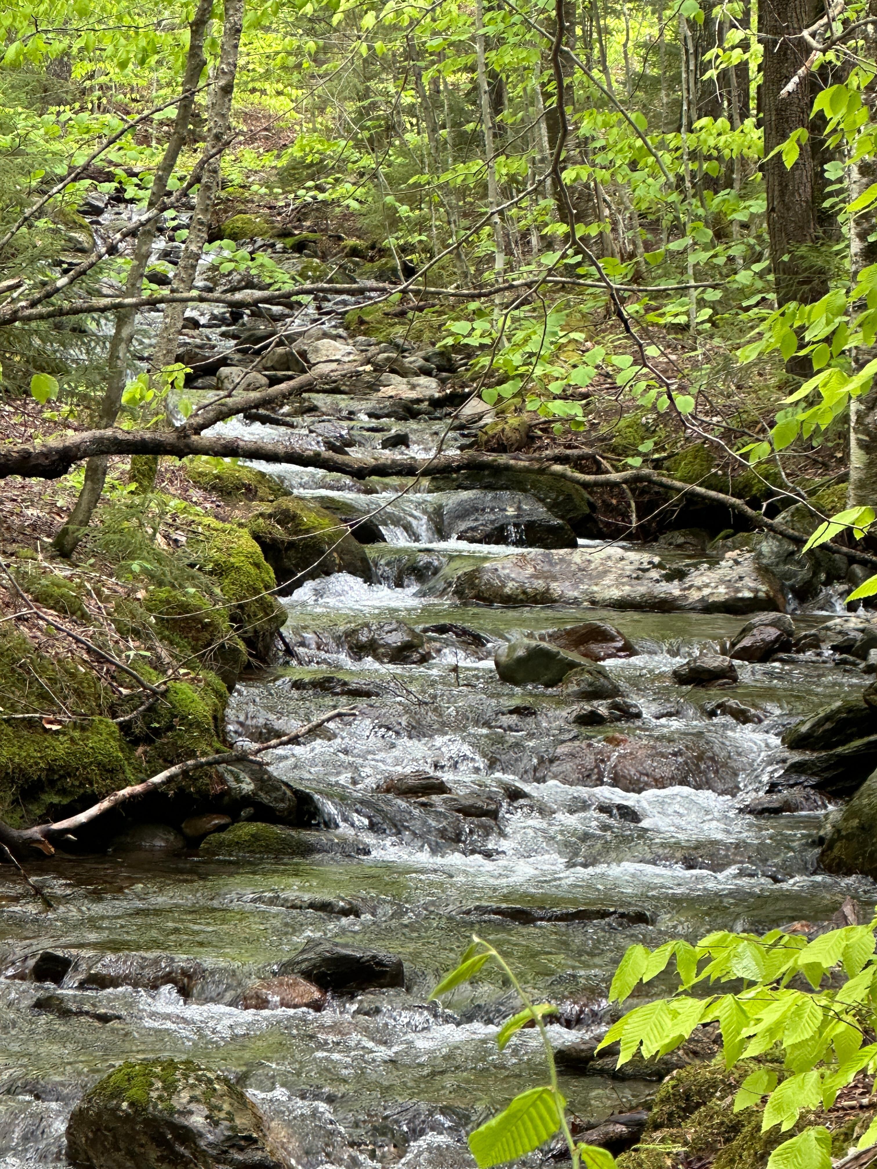 Bingham Falls - short drive from the studio.