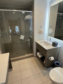 1 bed suite bathroom
