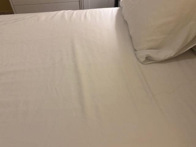 Bed sheets had multiple pieces of large hair on them. 