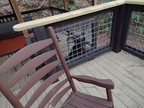 Bear (Back Deck)