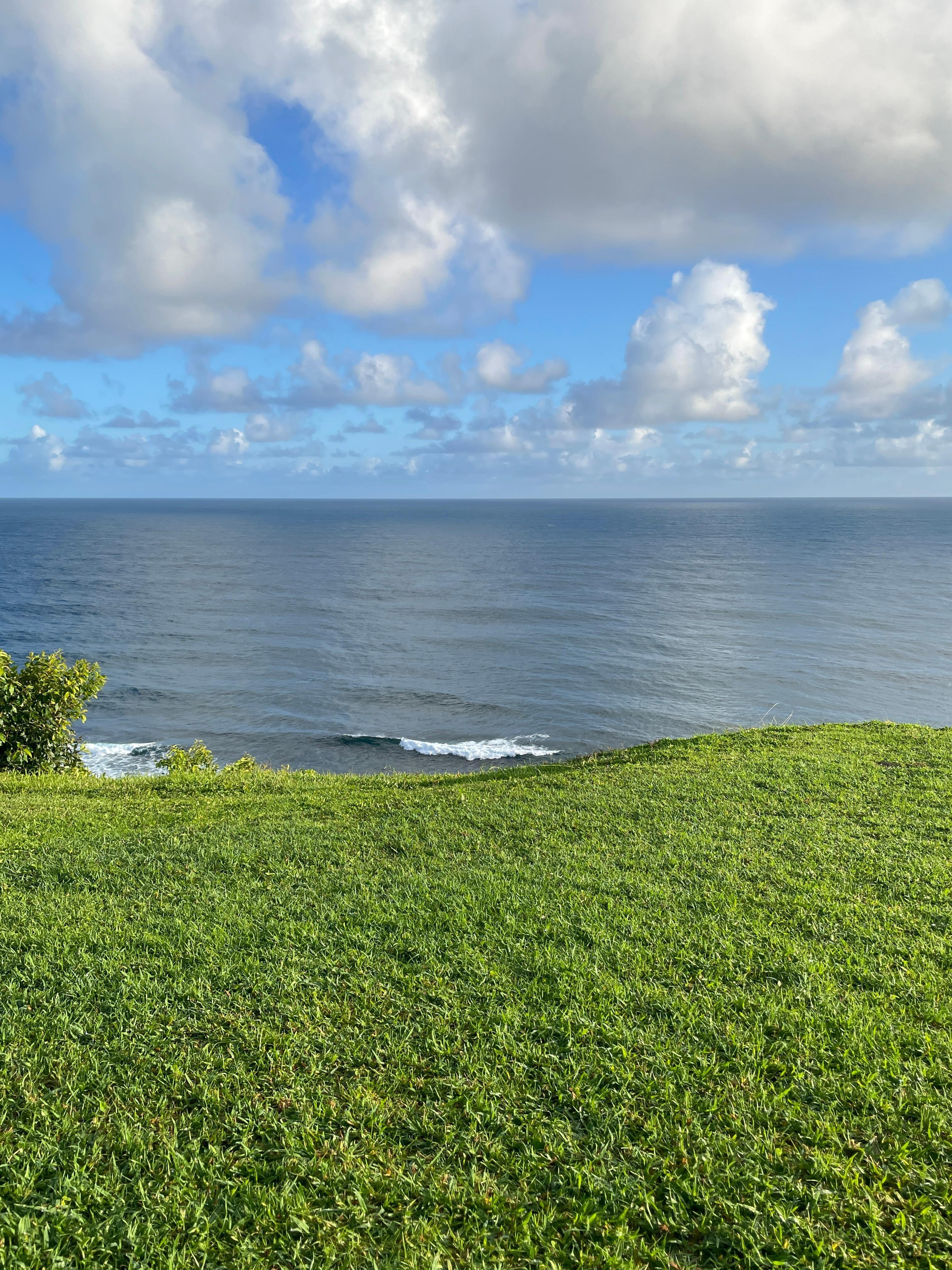 Morning view
