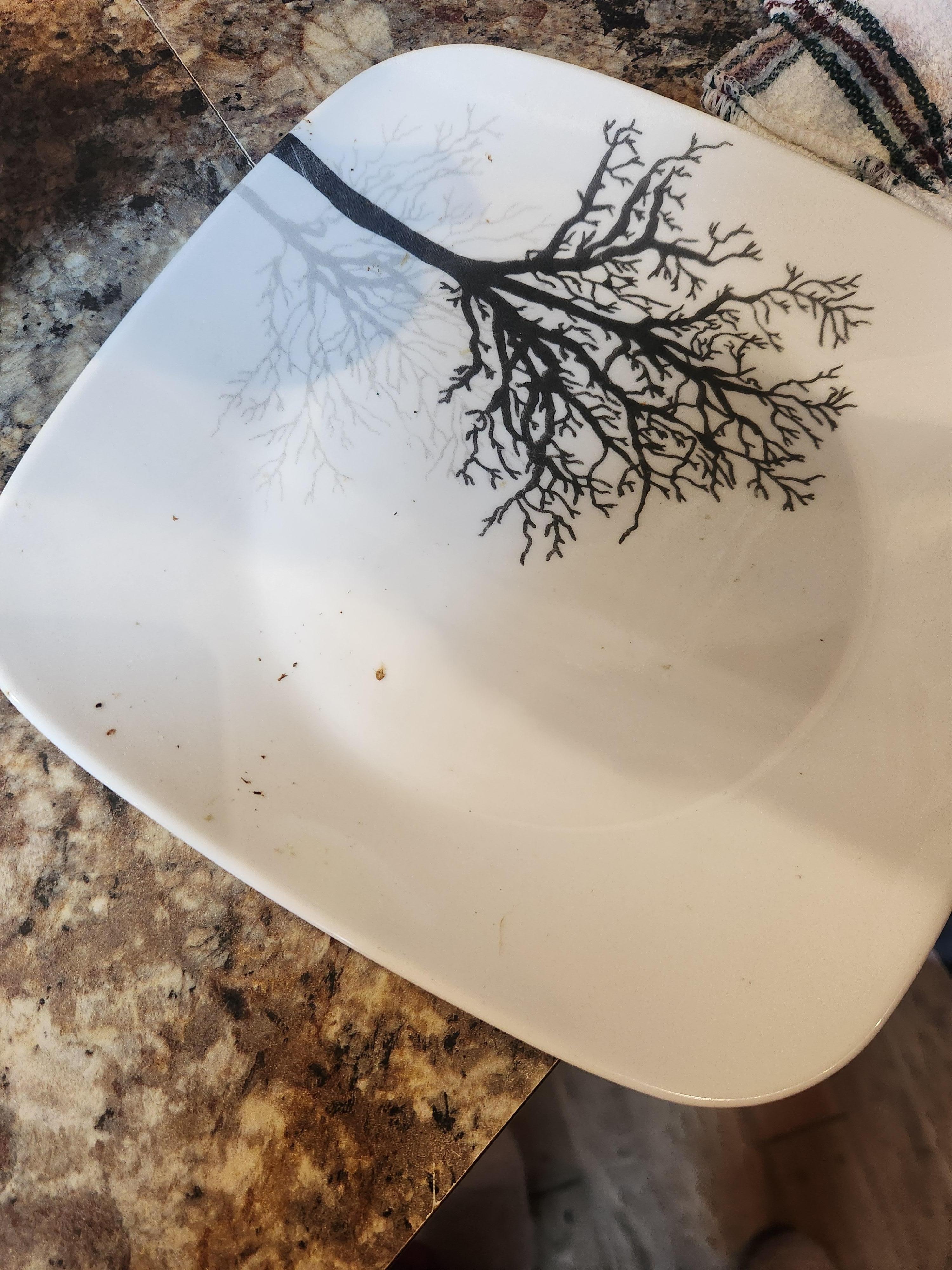 Dirty Dishes