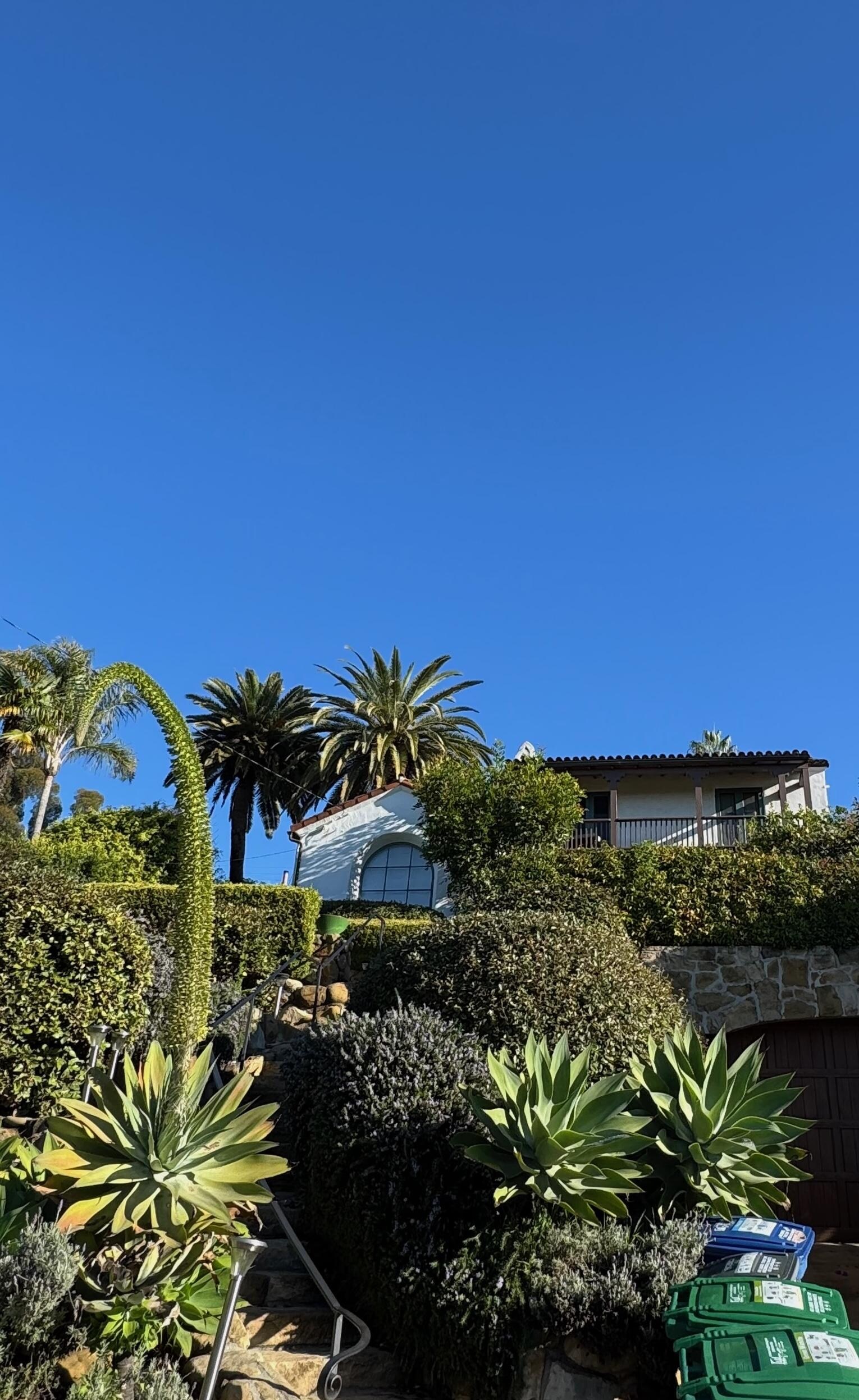 View from the street