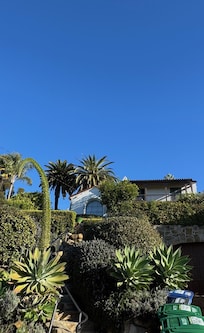 View from the street