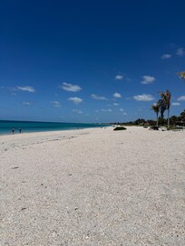 Looking North