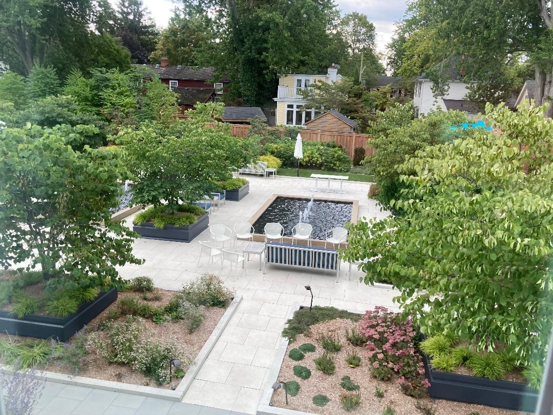 beautiful garden view!