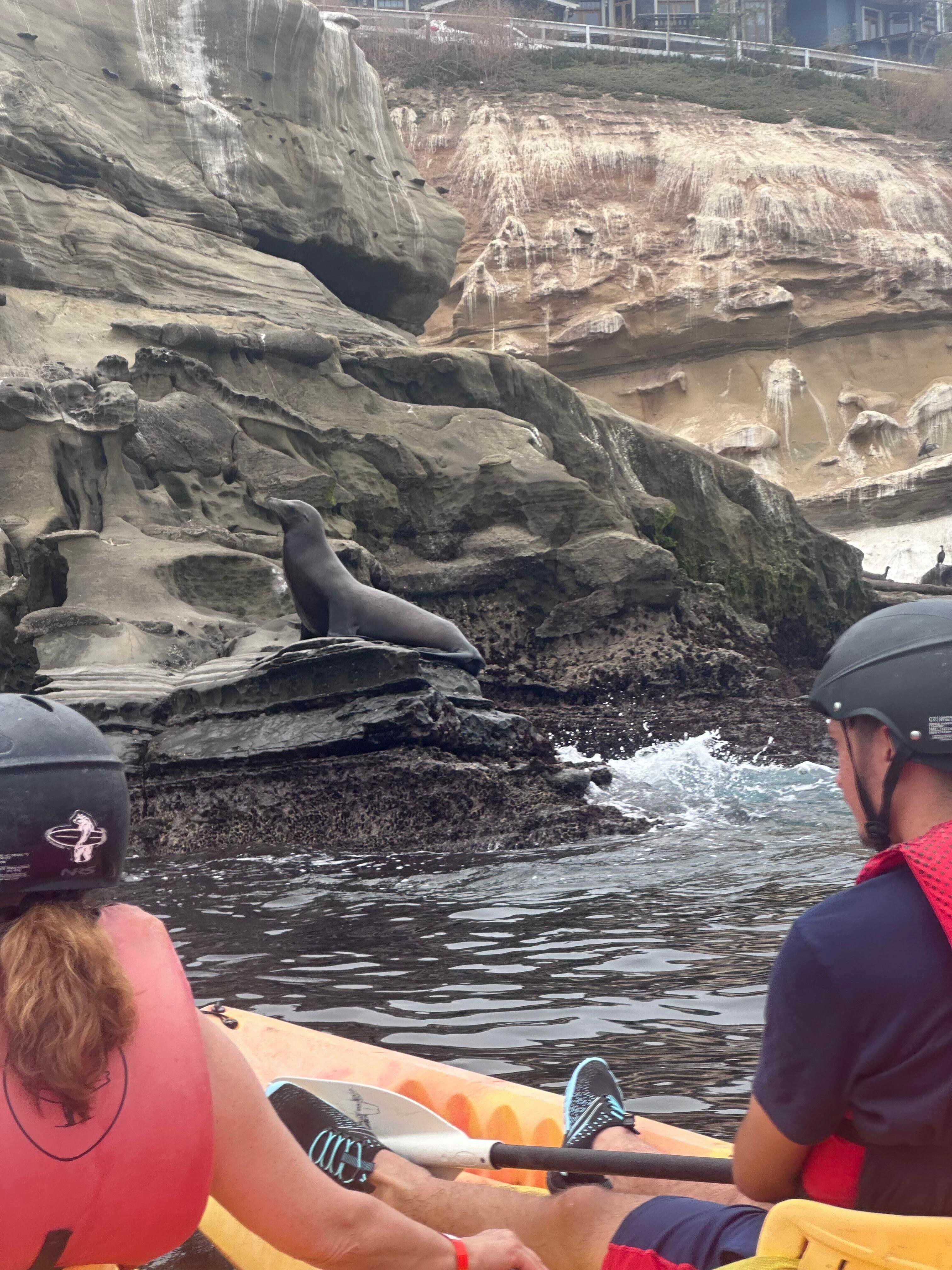 Kayaking to the caves. Saw Dolphins and seals along the way.