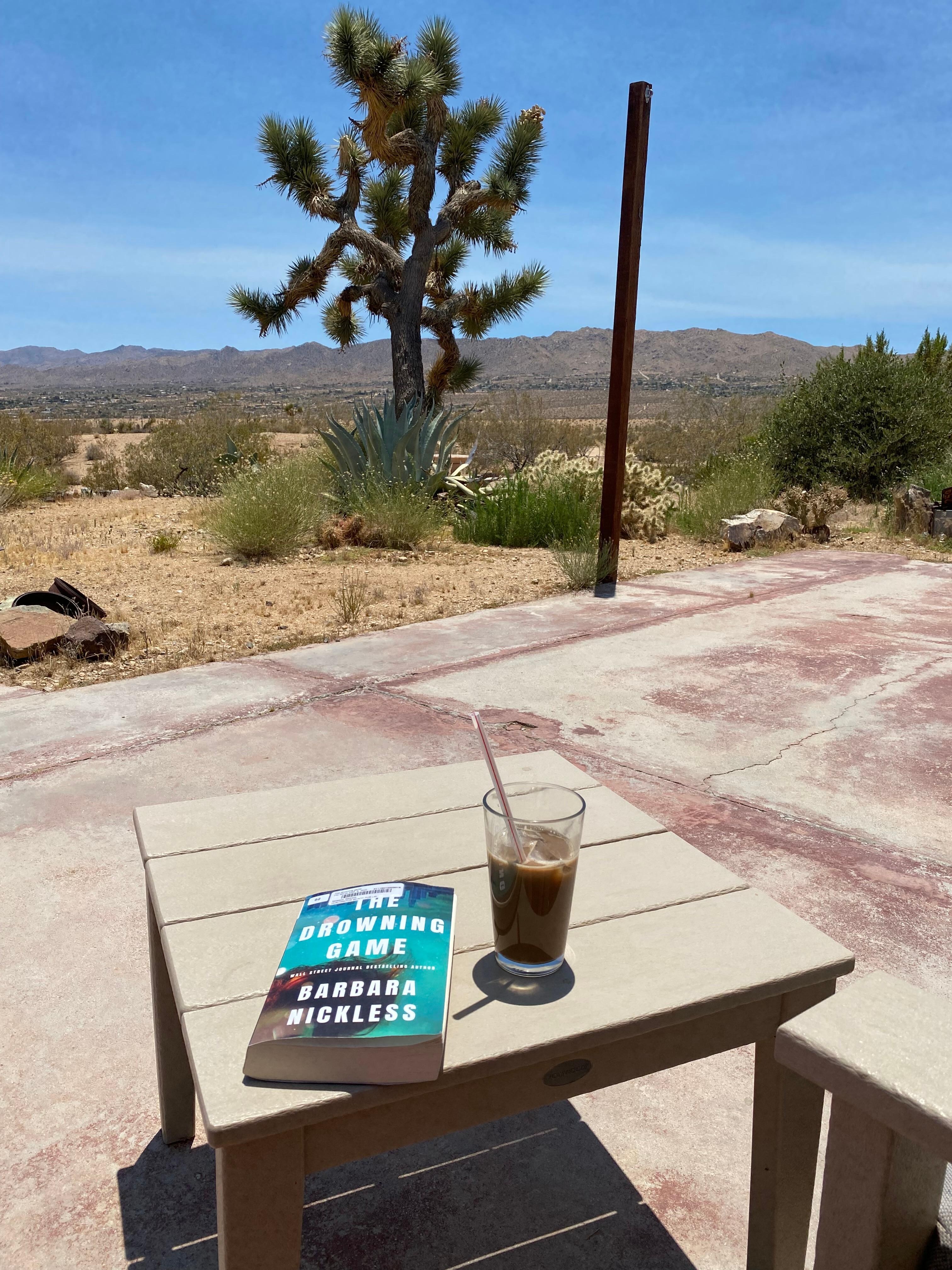 Daytime view from the patio.