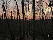 Sunset view from the porch.