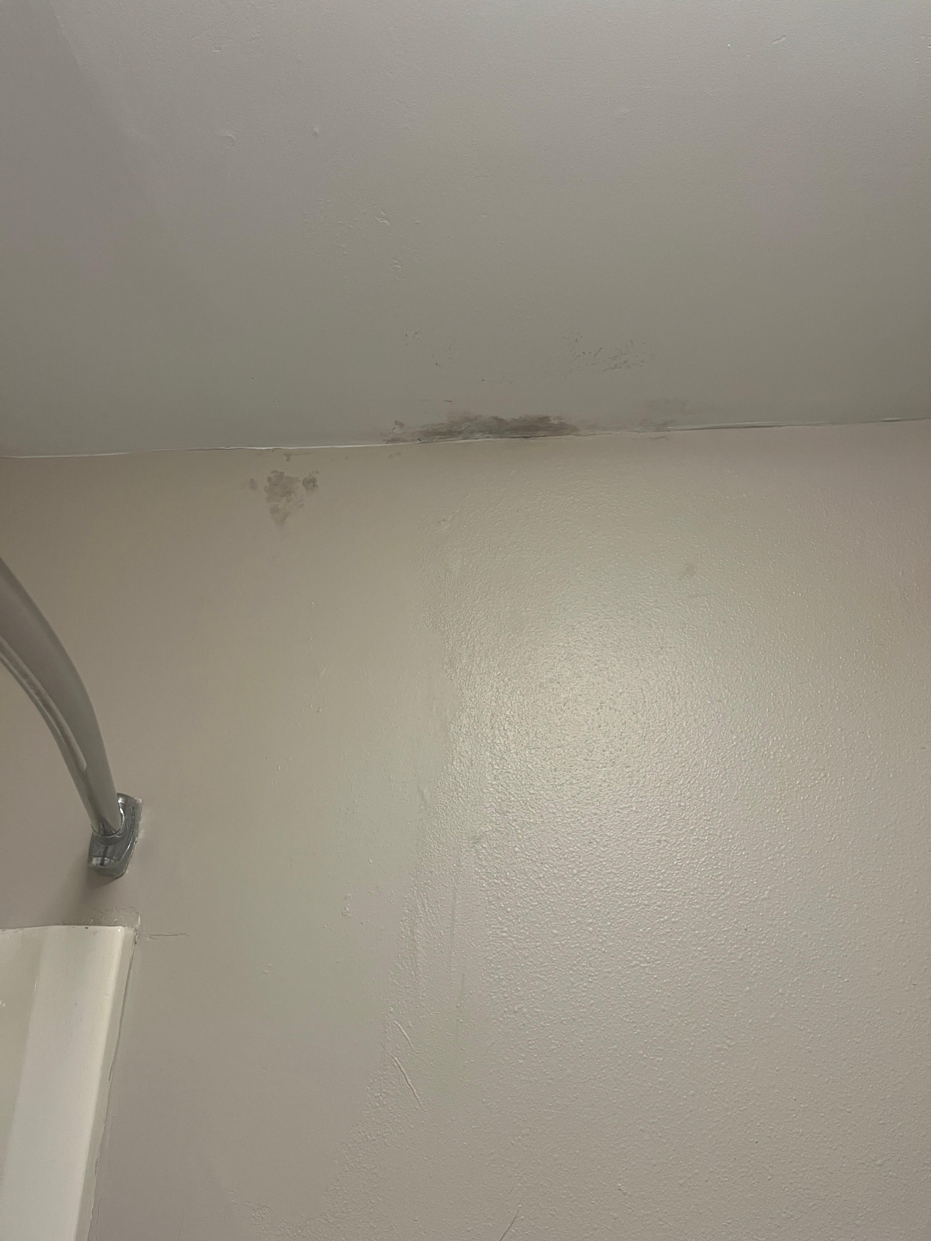 Mold in the bathroom