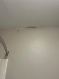 Mold in the bathroom