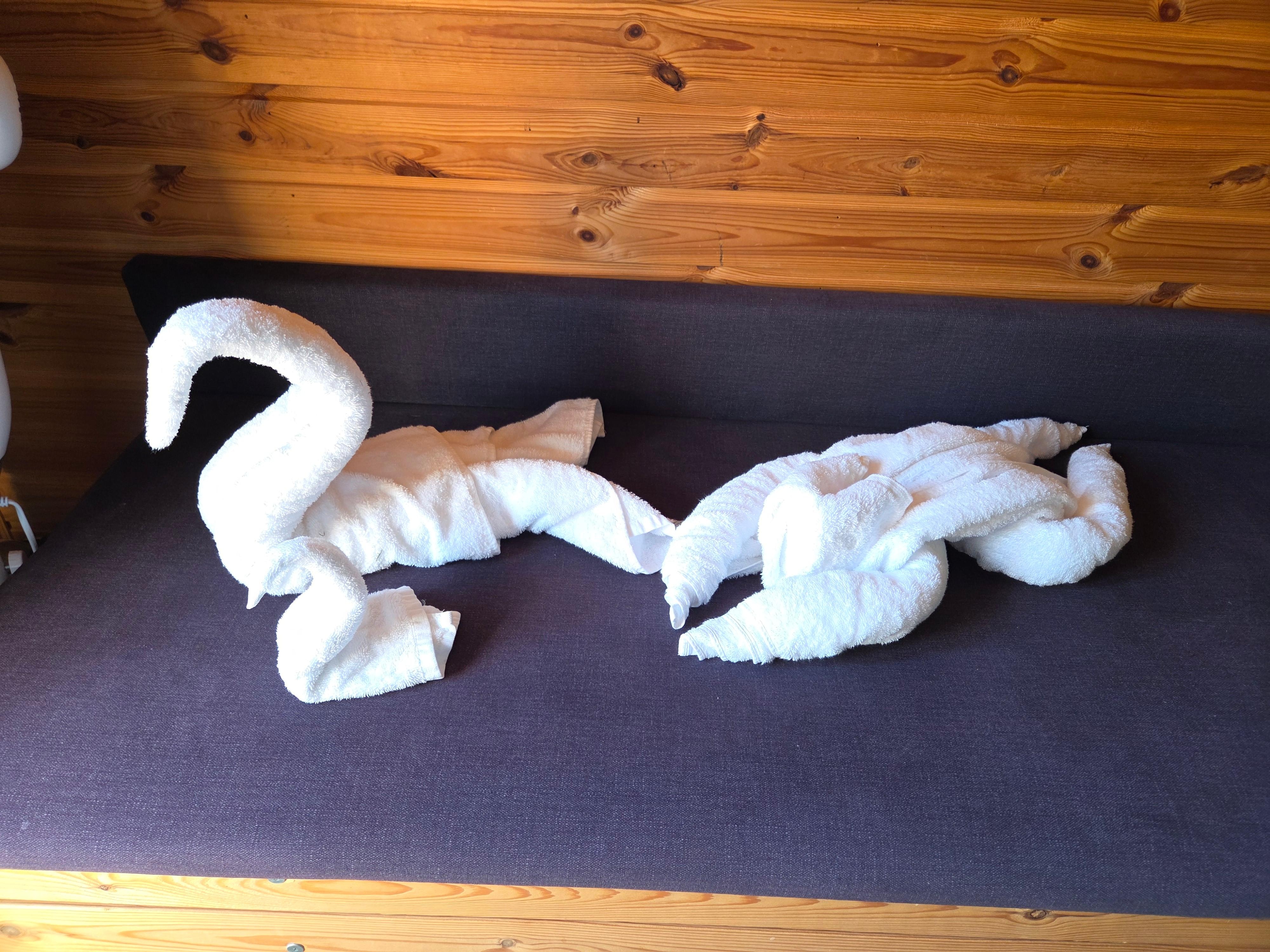 Provided towels turned swan n ape by Disney trained guest! 