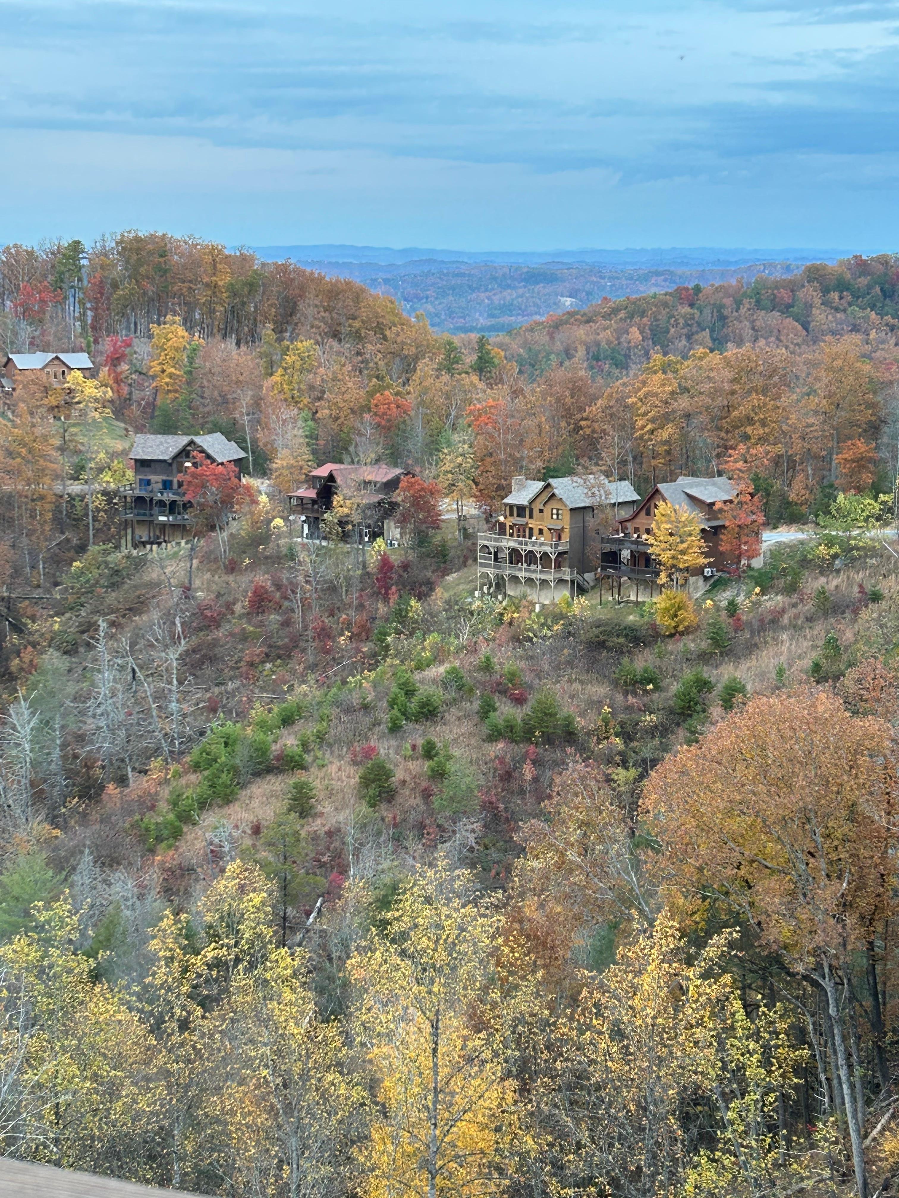 View from our cabin! 