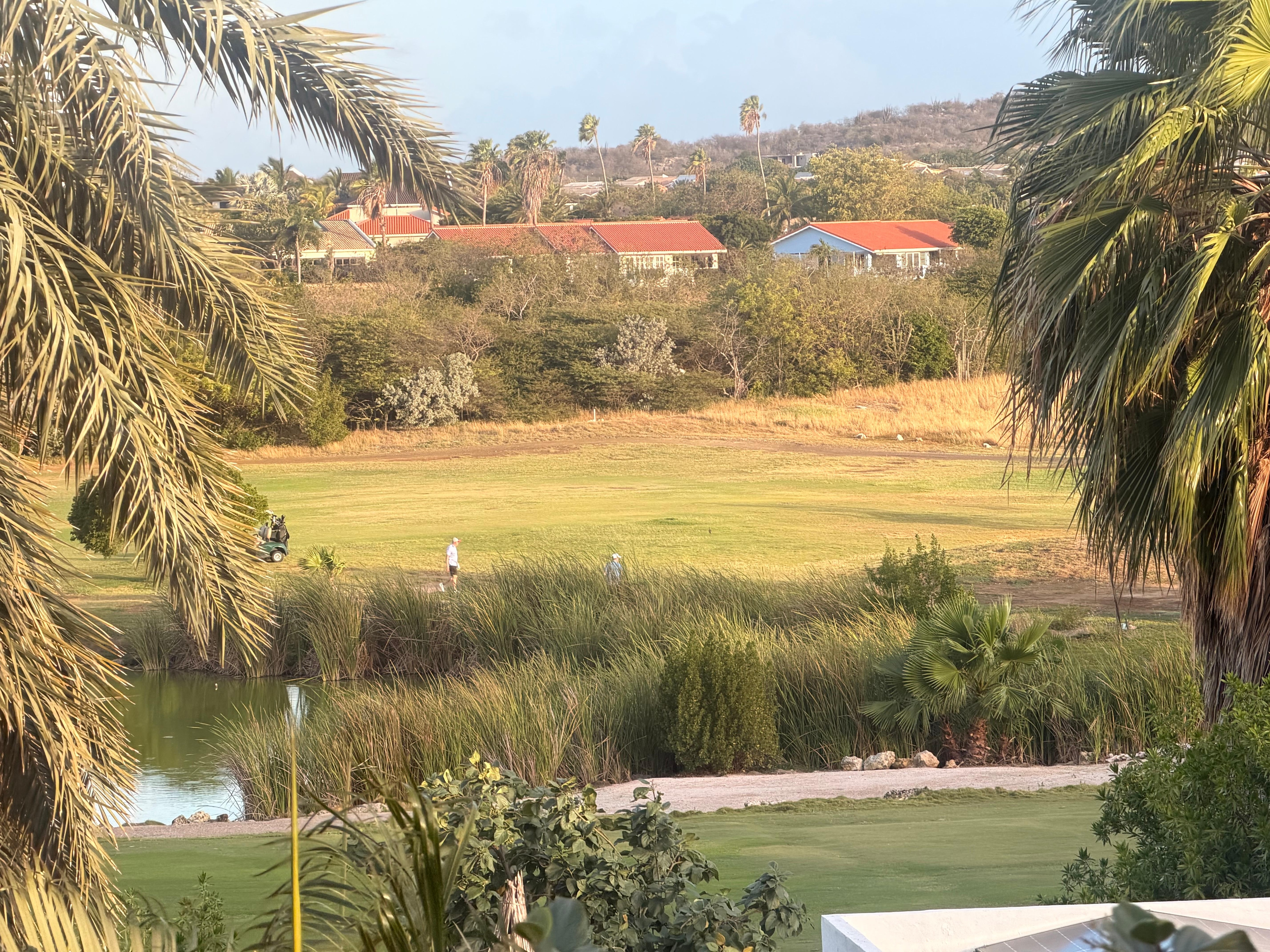 View from deck over golf course