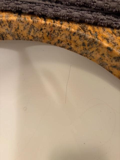 Hairs in the bathroom sink