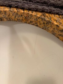 Hairs in the bathroom sink