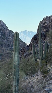 Dreamy Draw Recreation Area