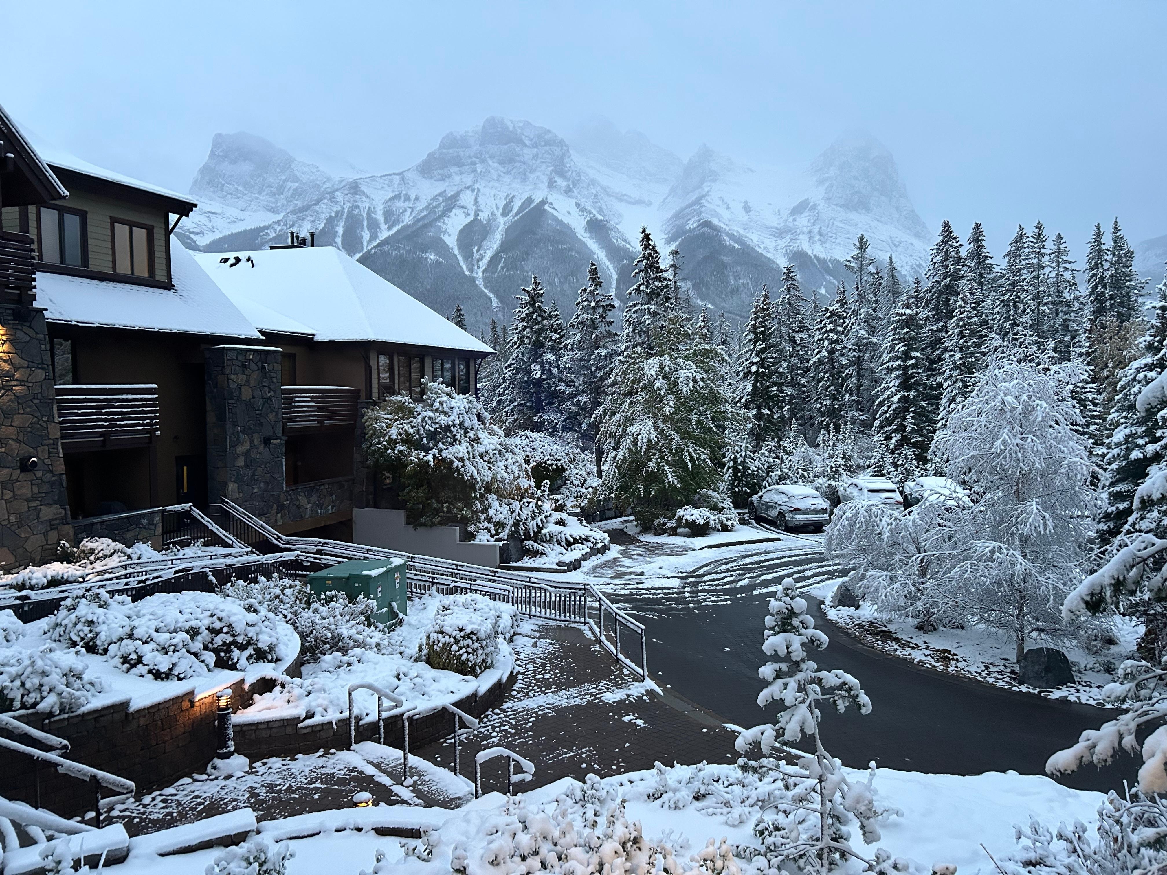 The morning after snowfall