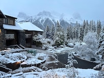 The morning after snowfall