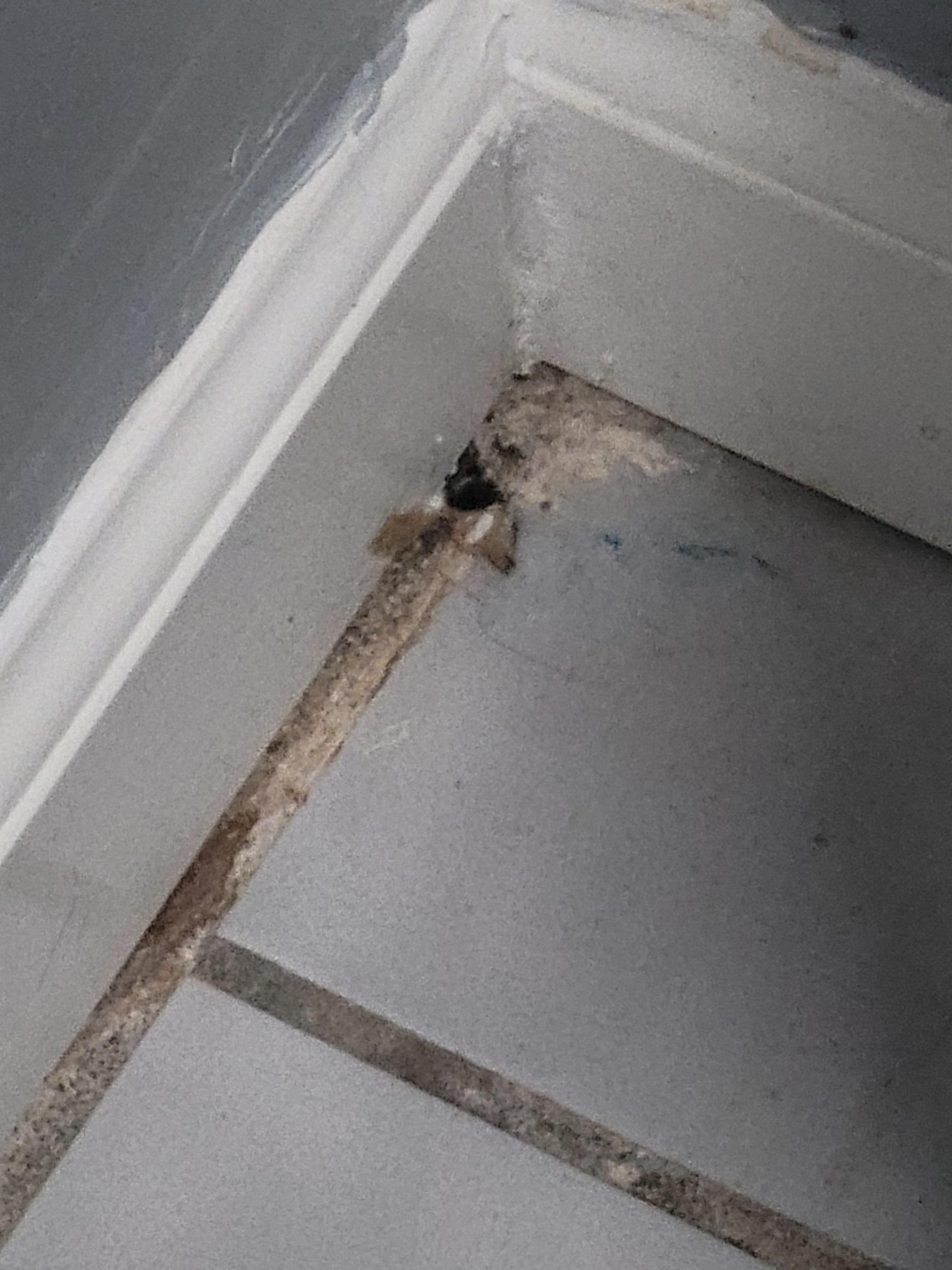 Pictures tell the story 