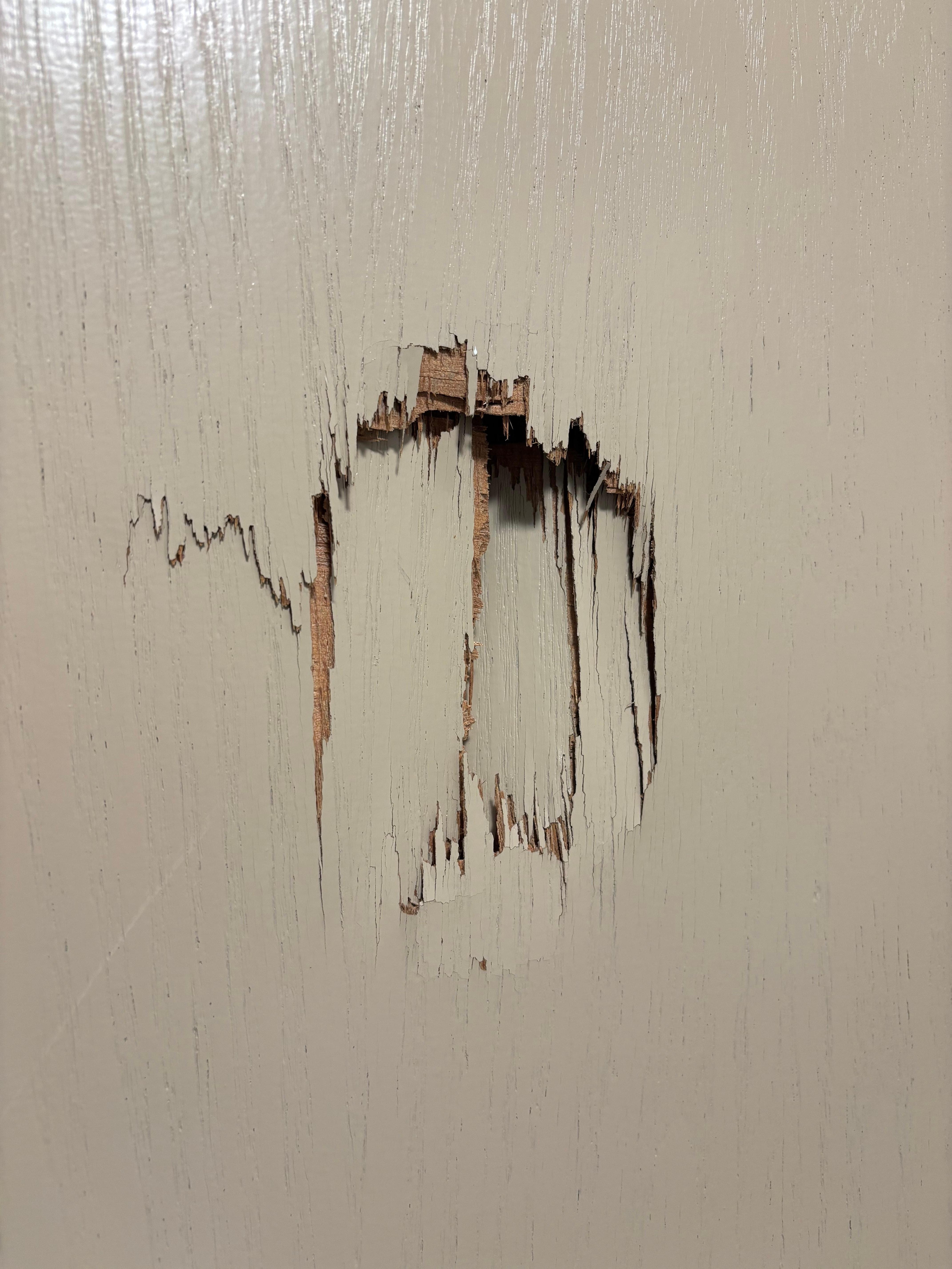 Someone was angry with the bathroom door