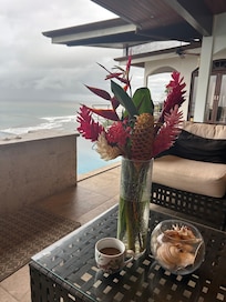 Great spot for relaxing, the plant life is stunning!