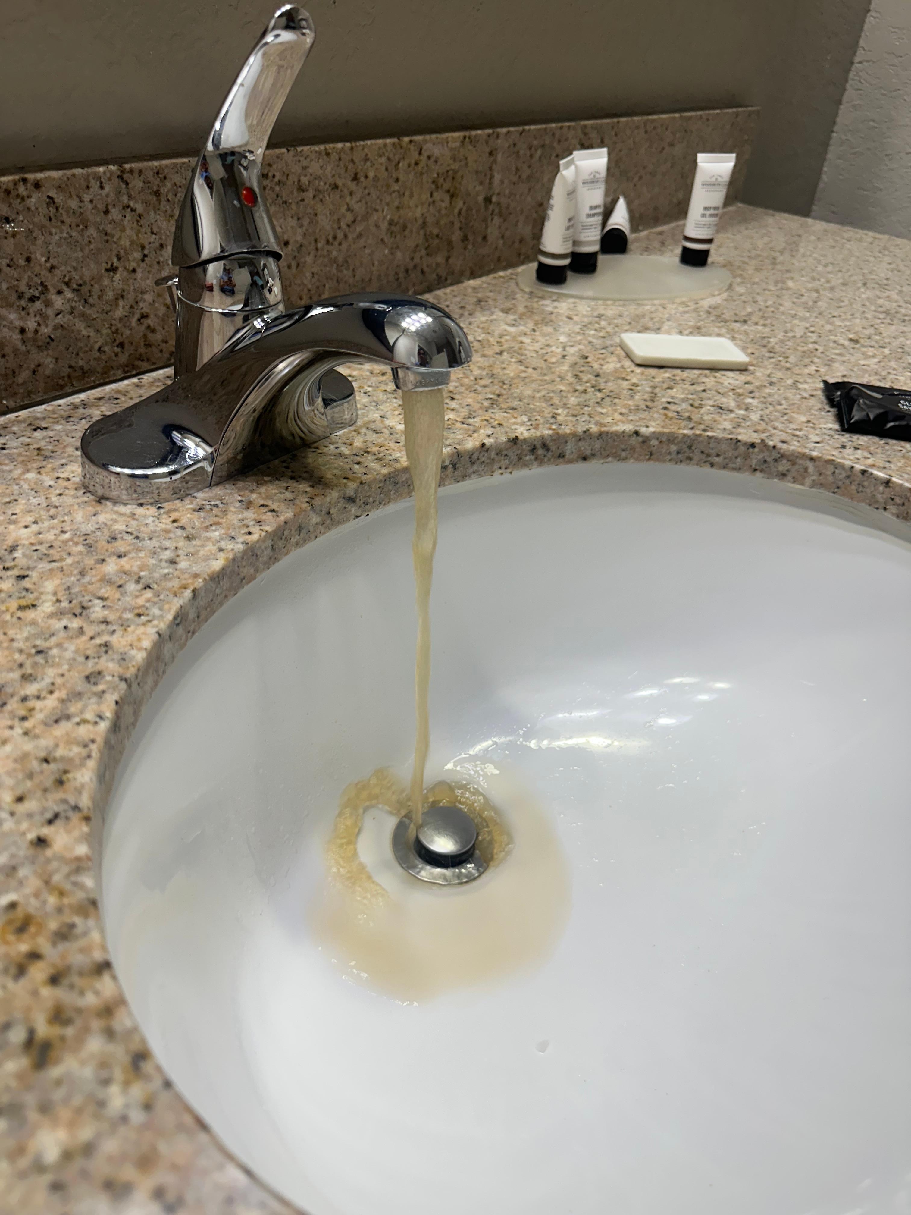 The water was literally dark brown before this 