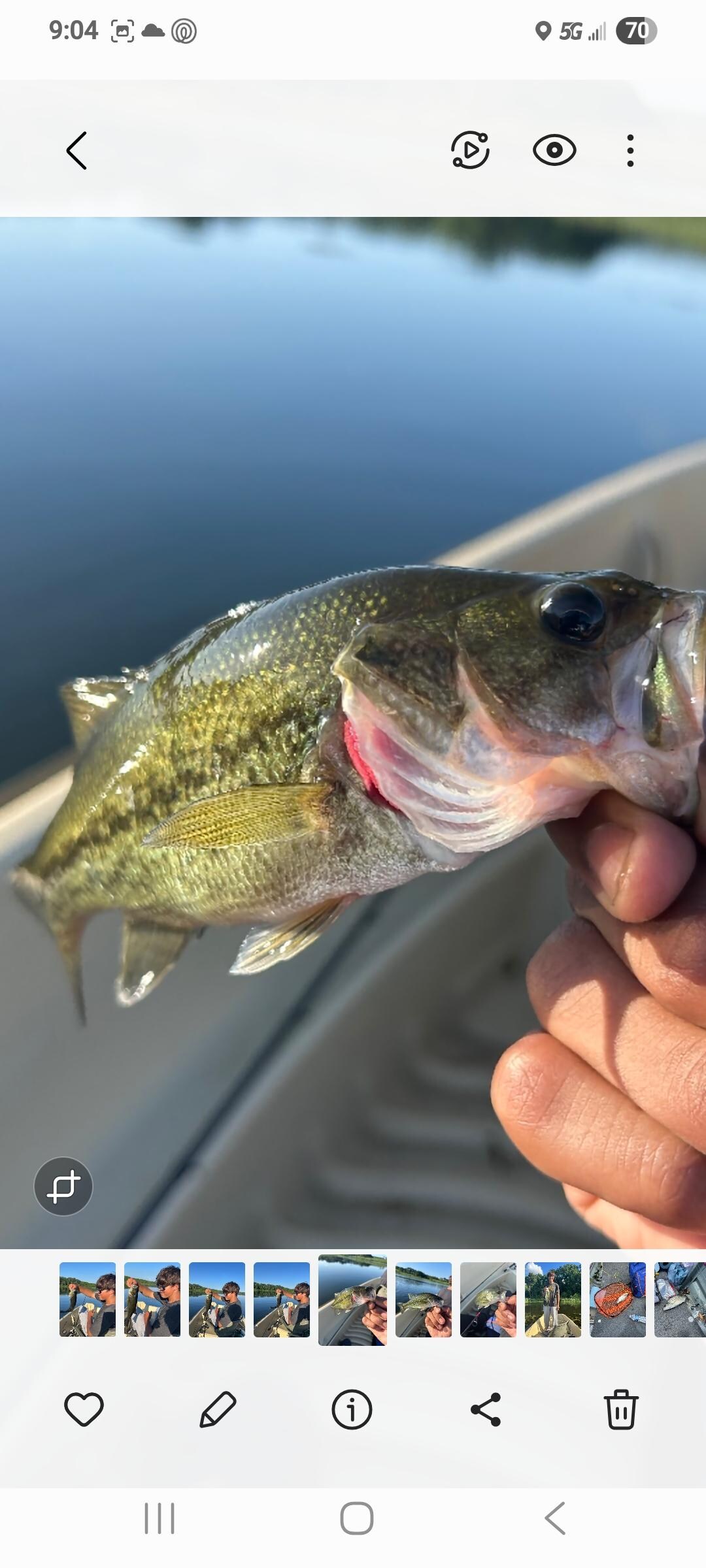 Bass