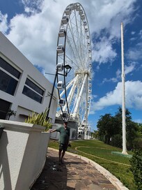 Ferris wheel near by.