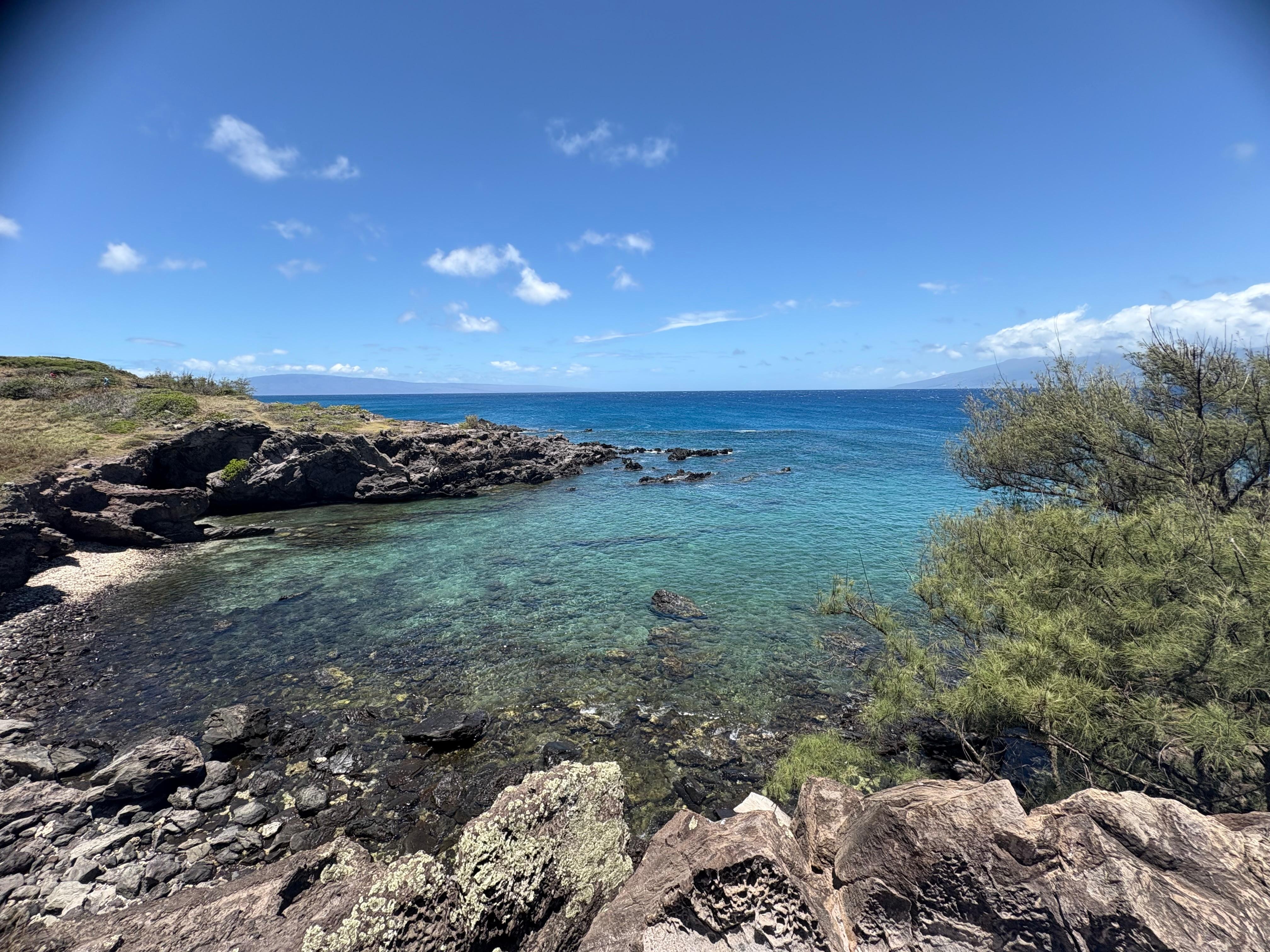 Nearby coastal trail 👍🌴