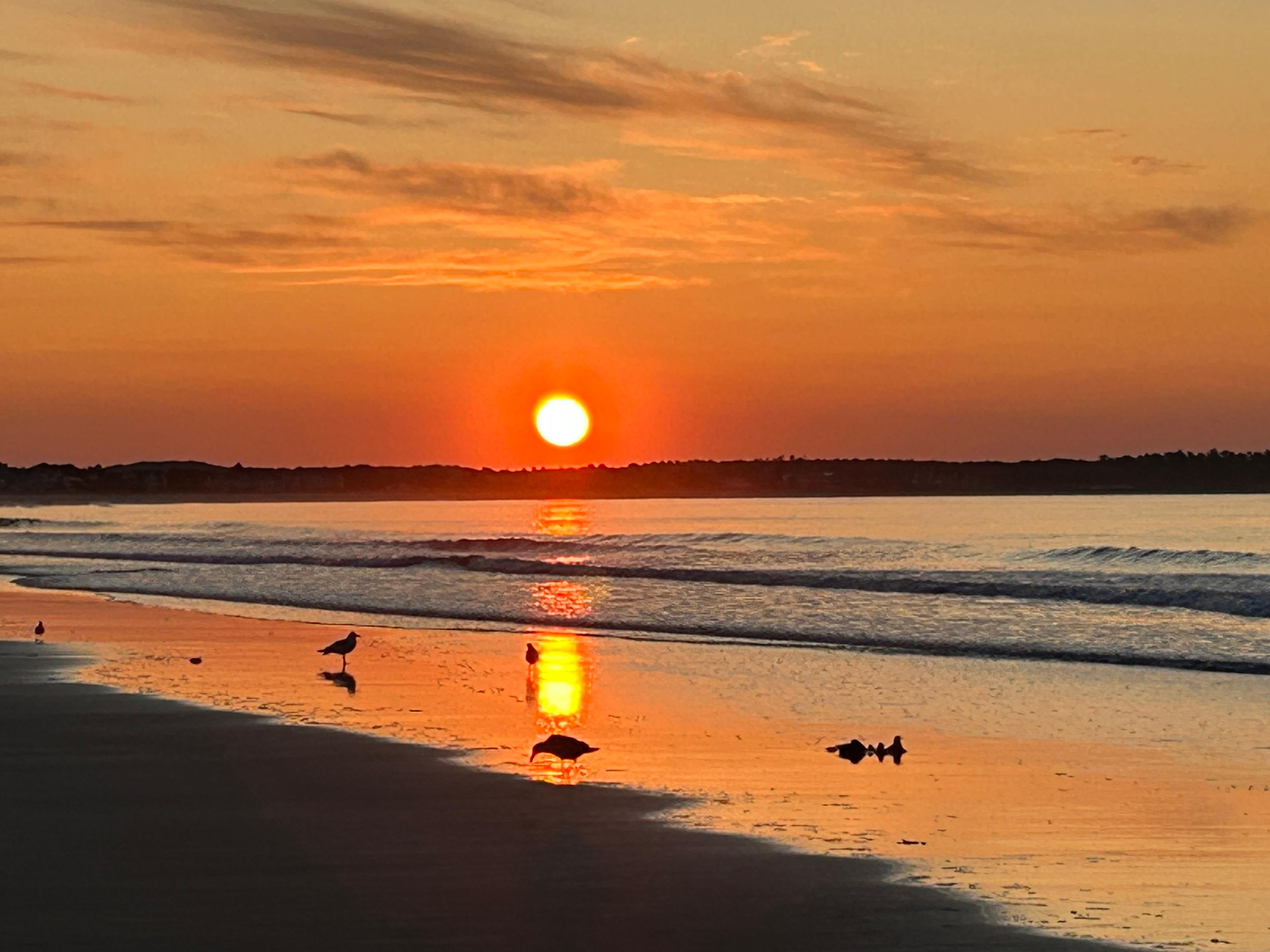 Sunrise