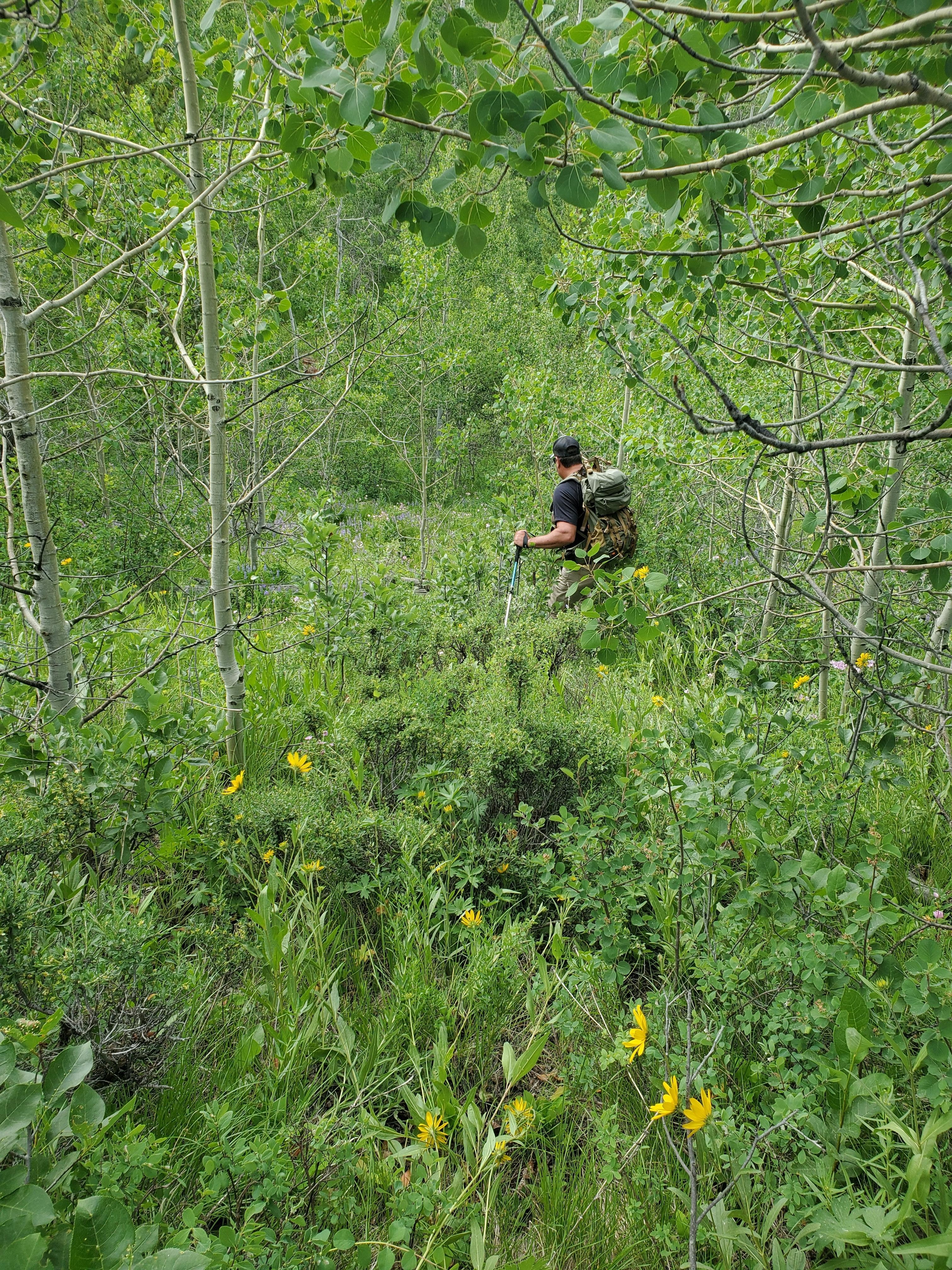 mountain behind cabin