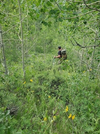 mountain behind cabin
