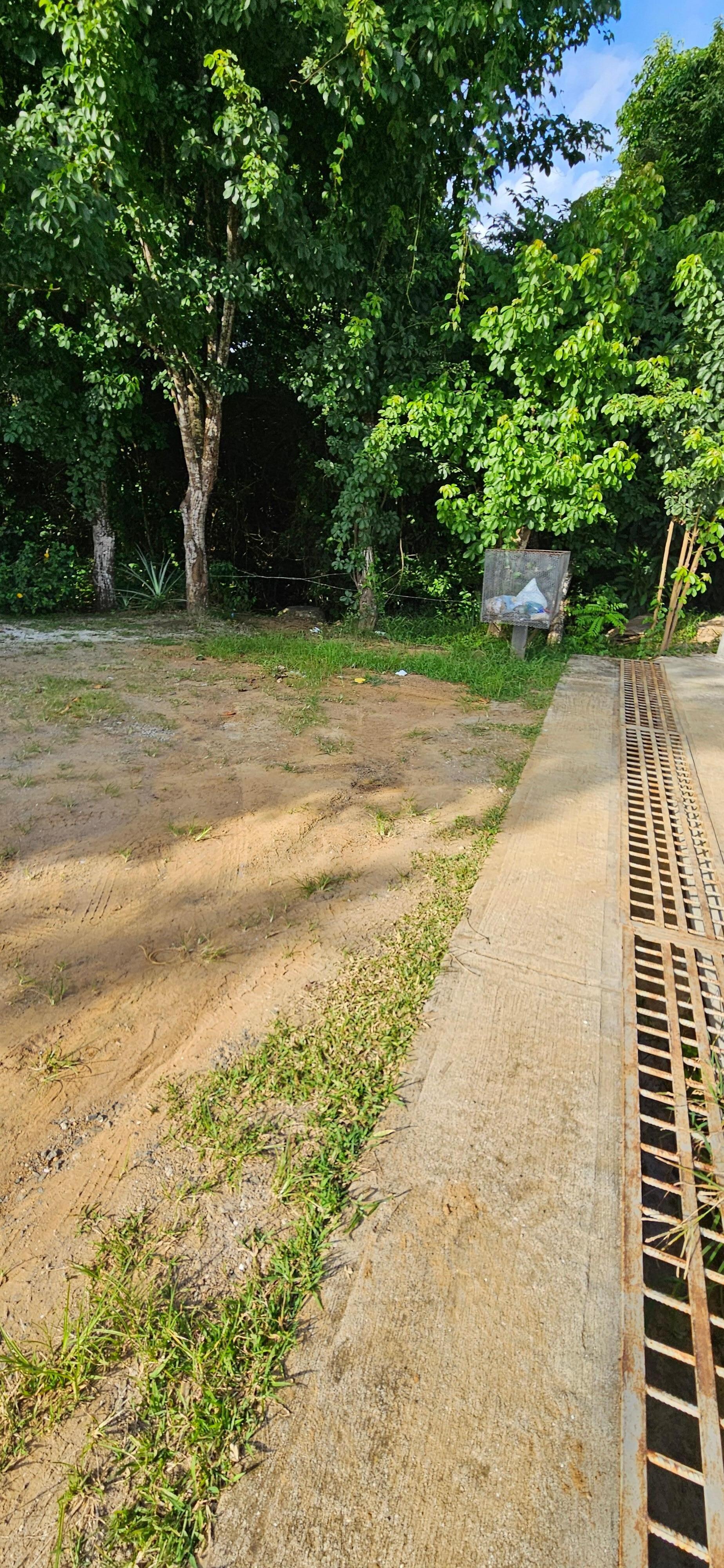 Scenery from front door 