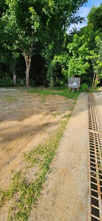 Scenery from front door