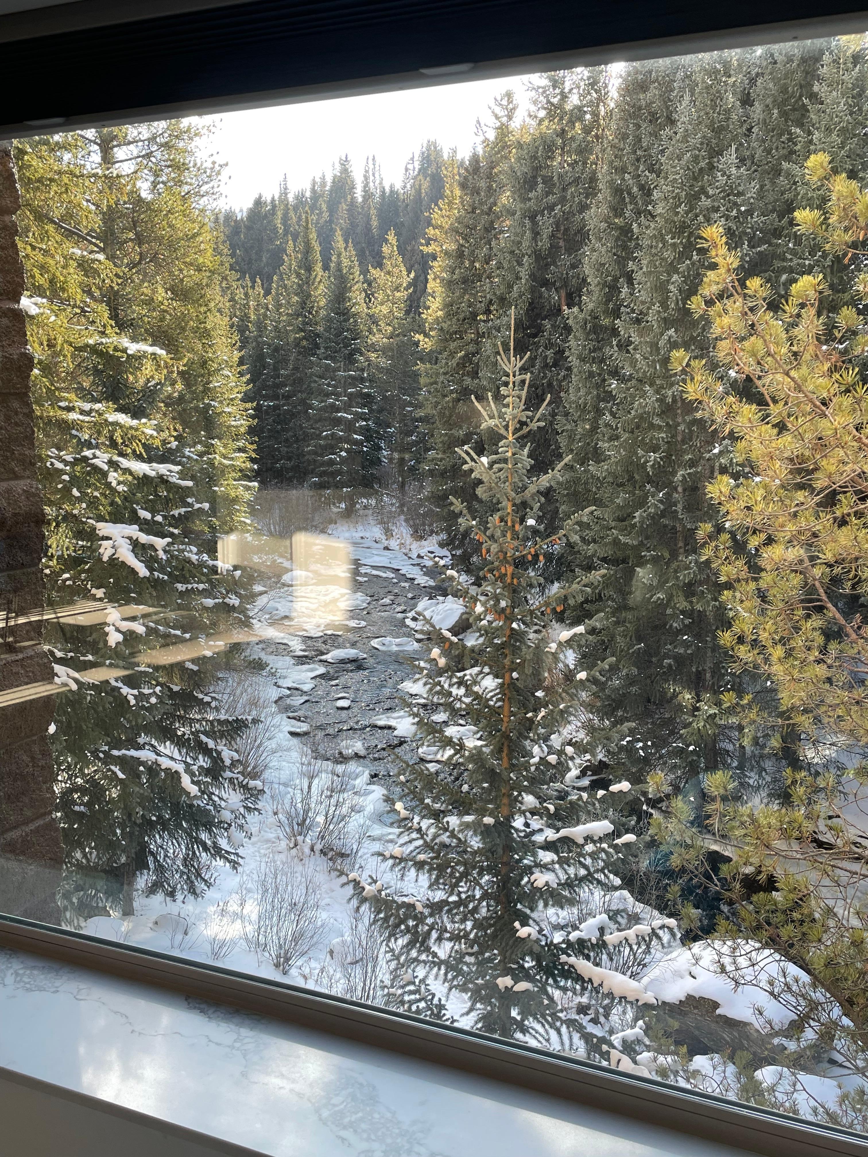 View from inside the unit 