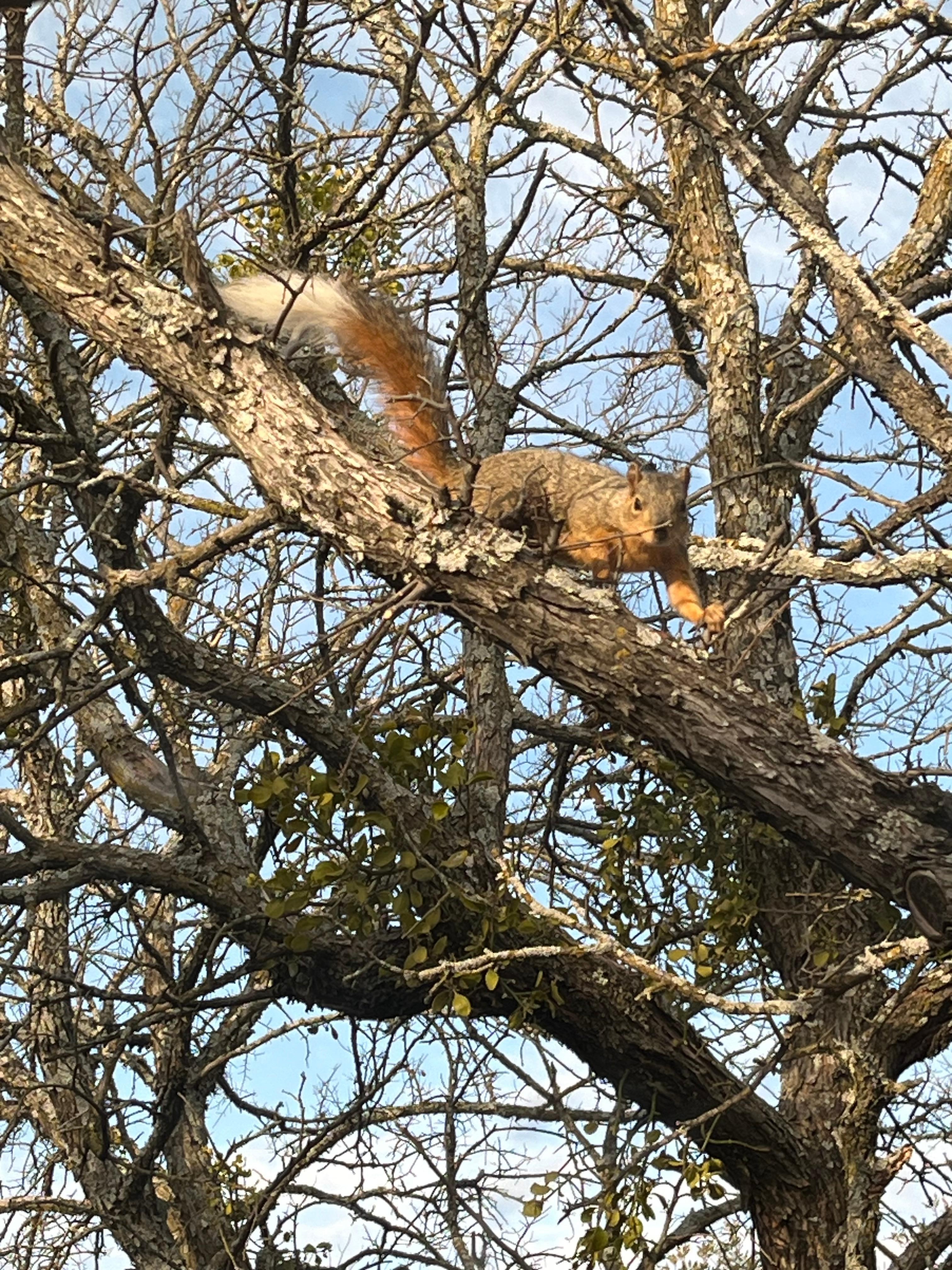 A sweet sight in the early morning hours!