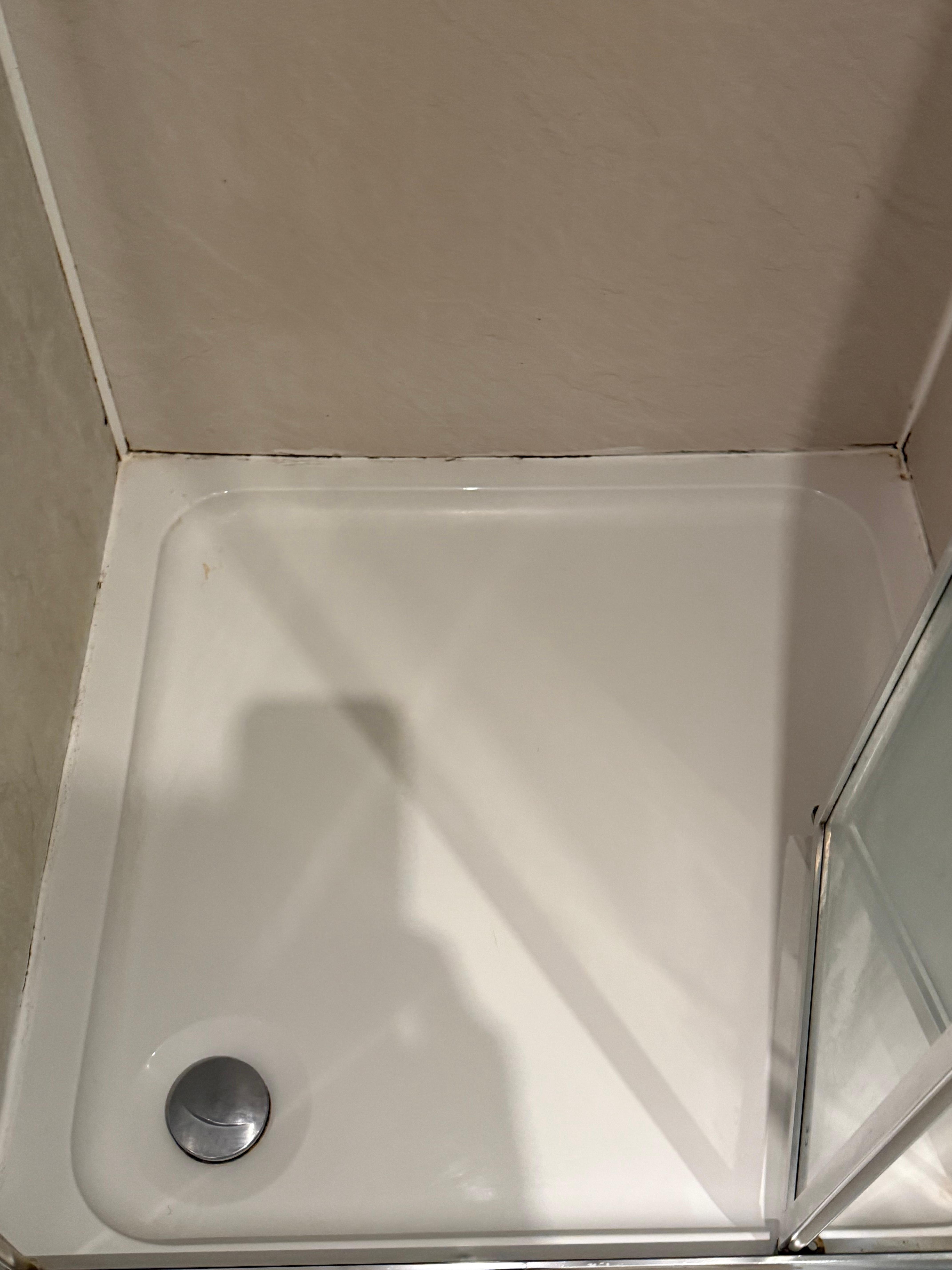 Mold in shower pan. Also at the handle and ceiling.