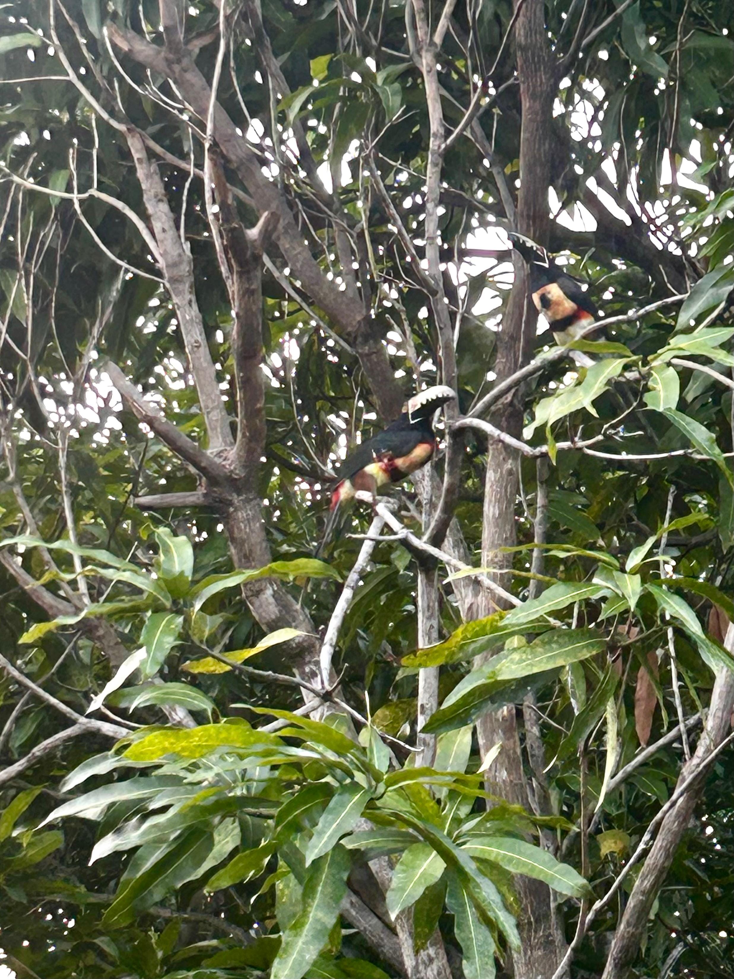 En prenant mon café sur mon balcon 