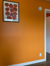 Salmon colour walls could only be happy!