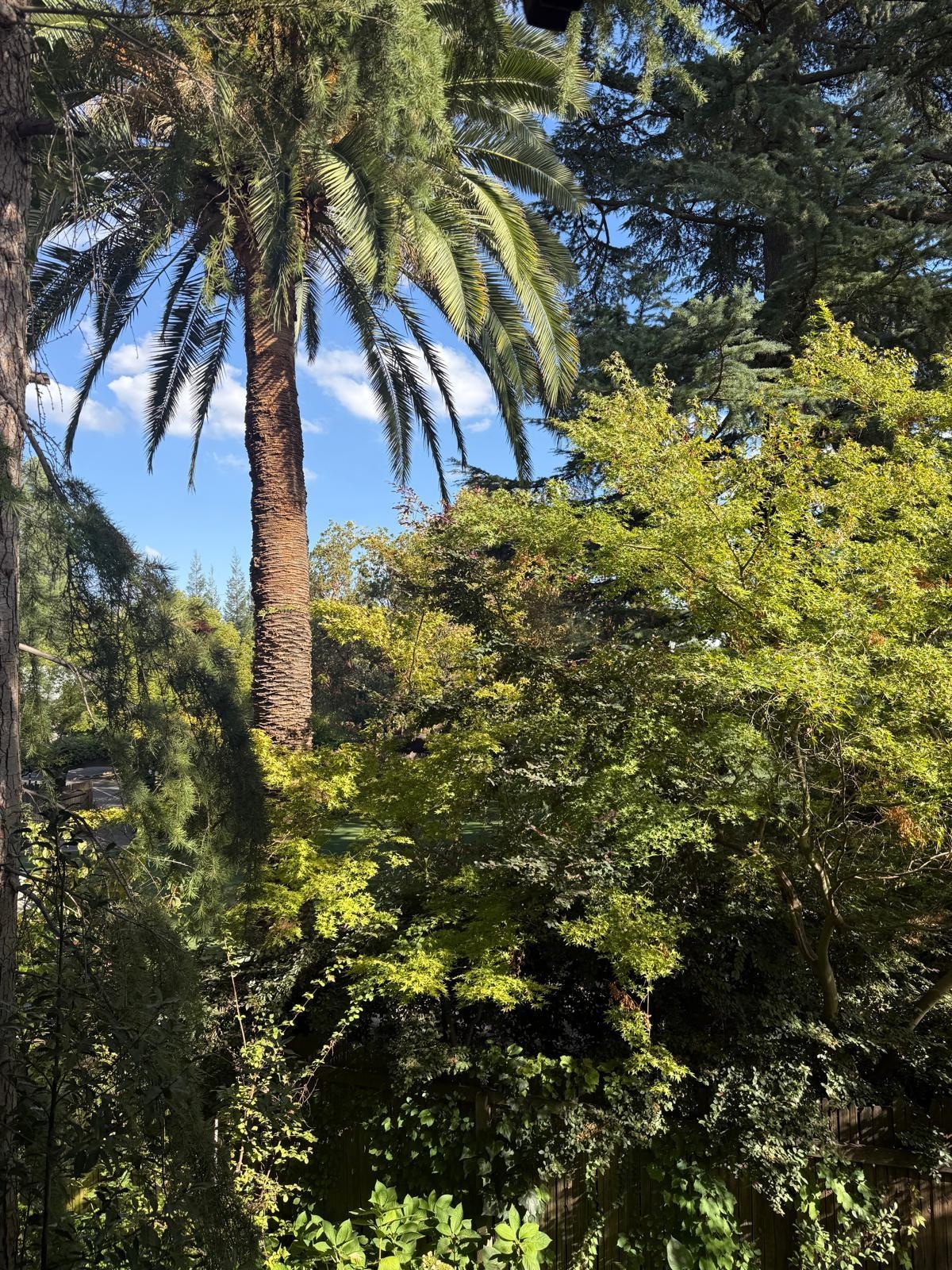 From the balcony 🏙️✨ #view #balcony 