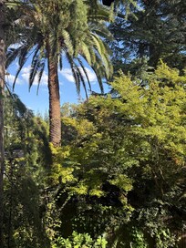 From the balcony 🏙️✨ #view #balcony