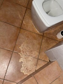 contaminated wastewater flooding in the bathroom