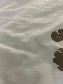 Hole in sheet and pubic hair in the sheet